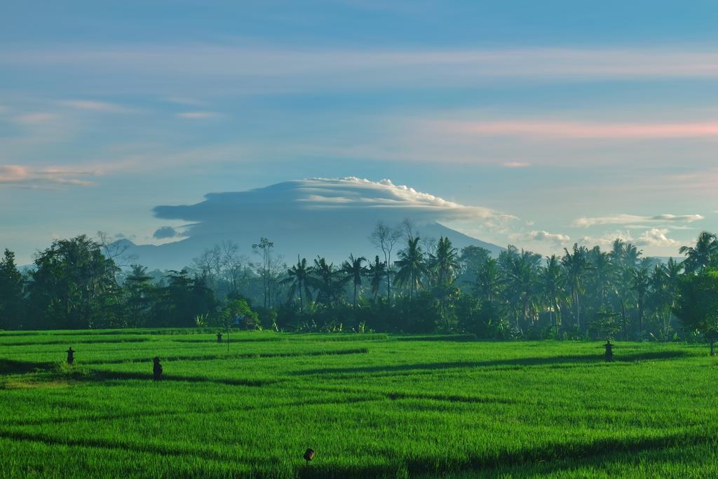 Putra Guest House Ubud Eksteriør billede